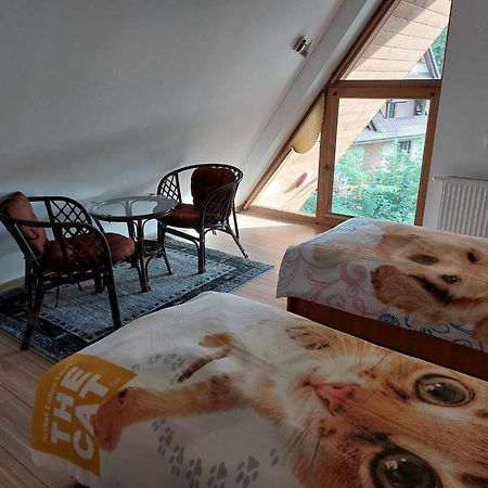 Apartamenty Cede Zakopane Exterior photo